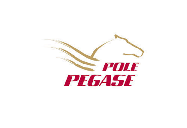 POLE PEGASE-TPSH